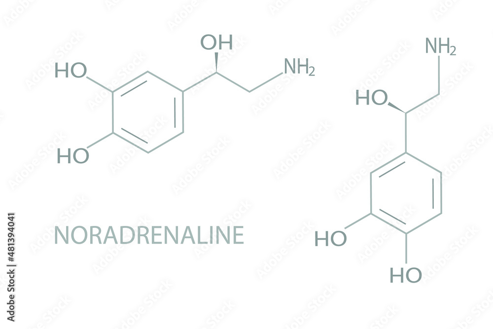 Noradrenaline molecular skeletal chemical formula. Noradrenaline molecular skeletal chemical formula.