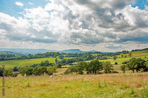 Summertime scenery in the Welsh hills.