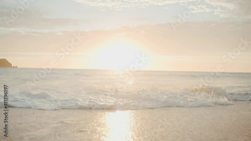sunset on the beach with dog