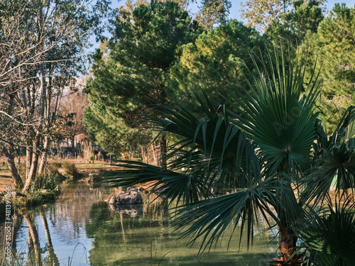 beautiful lake and trees in nature