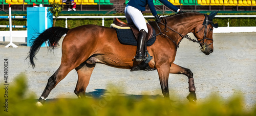 Rider and horse in jumping show. Beautiful girl on sorrel horse in jumping show, equestrian sports. Light-brown horse and girl in uniform going to jump. Horizontal web header or banner design.