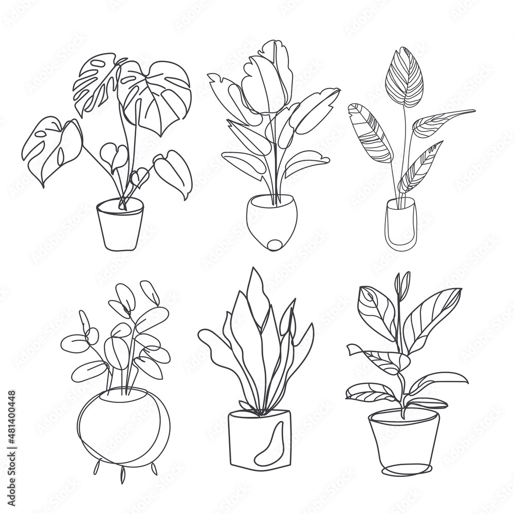 Houseplants Vector Set Of Outline Plants In Pots Indoor Exotic Flowers 