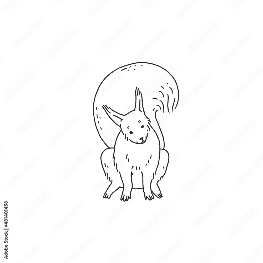 black white squirrel. Cartoon outline sketch illustration of cute animal character. black white squirrel. Cartoon outline sketch illustration of cute animal character.
