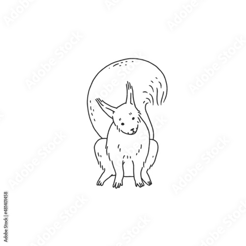 black white squirrel. Cartoon outline sketch illustration of cute animal character.