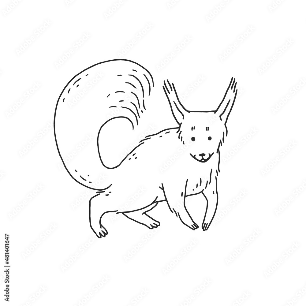 cute squirrel. Cartoon outline black white illustration of animal character. cute squirrel. Cartoon outline black white illustration of animal character.