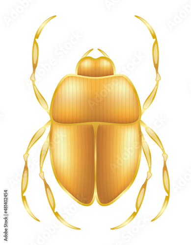 scarab symbol of ancient egypt vector illustration