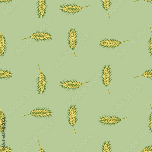 Wheat seamless pattern. Cereal crop sketch.