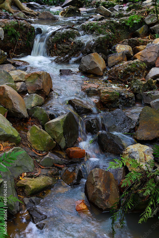 river in the forest river in the forest