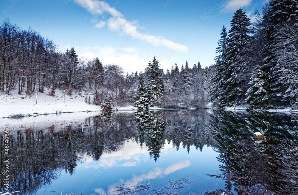 étang des Vosges en hiver étang des Vosges en hiver