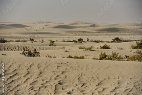 Hazy afternoon on the sand dunes near the town of Fiambalá, Catamarca, Argentina © Pedro