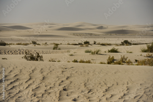 Hazy afternoon on the sand dunes near the town of Fiambalá, Catamarca, Argentina photo