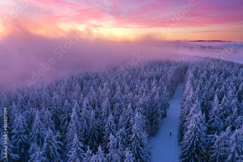 magischer Winterwald