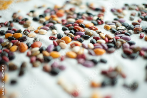 Multi color bean grains on white background and rustic plating