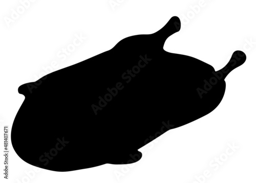 Big goose carcass. Vector image.