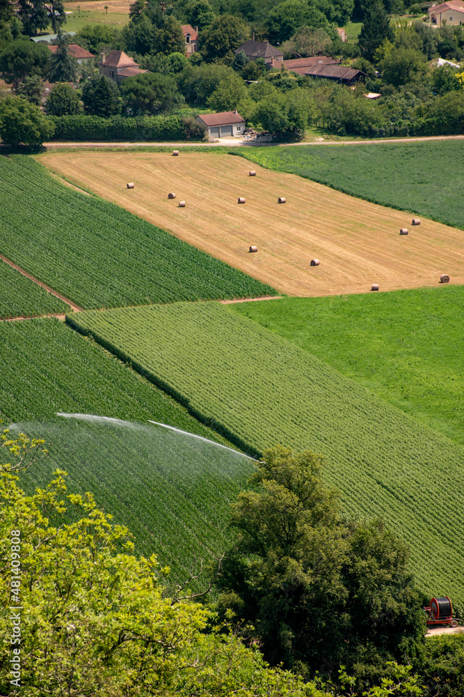 Obraz premium culture 293