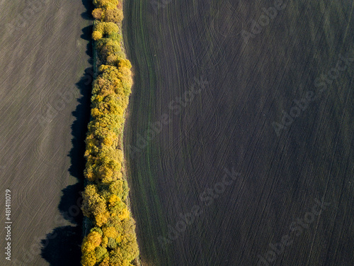 Tablou pe pânză Ploughed fields and autumn trees, october, Russia, Tulskaya oblast', aerial view
