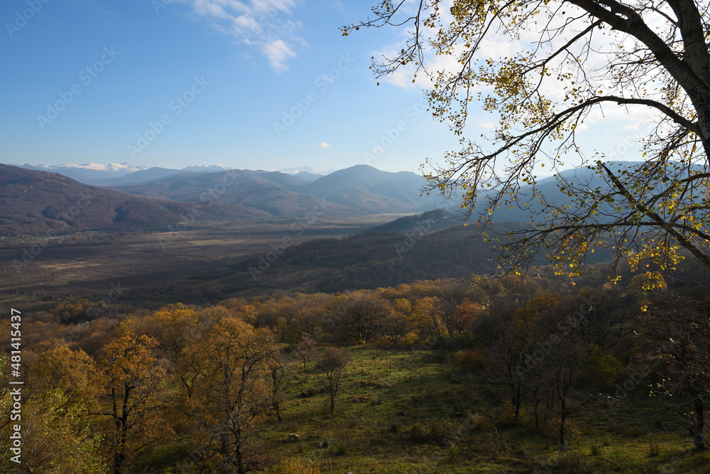 Mountain landscape with autumn yellow trees Mountain landscape with autumn yellow trees