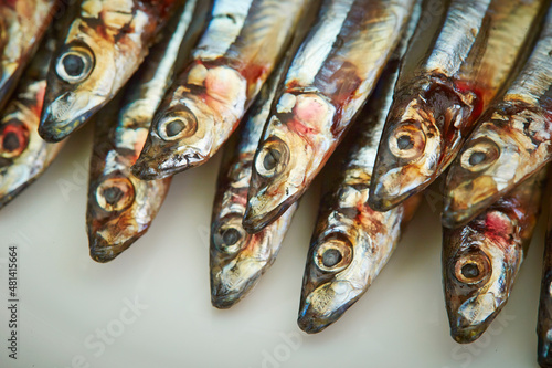 raw anchovies on a plate 