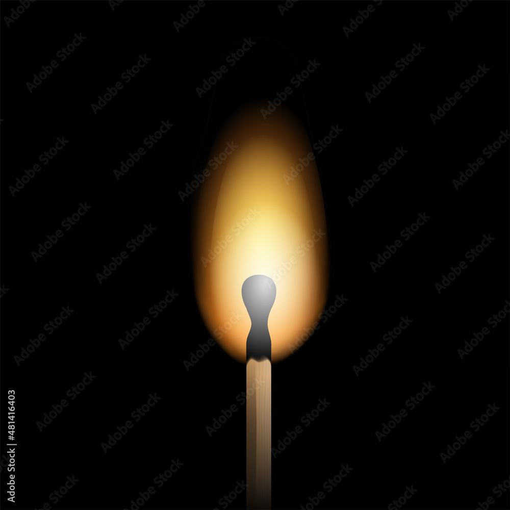 Burning match - flaming matchstick Burning match - flaming matchstick
