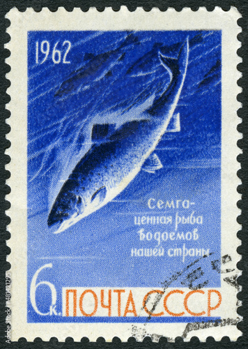 USSR - 1962: shows Freshwater salmon, Fish preservation in USSR, 1962