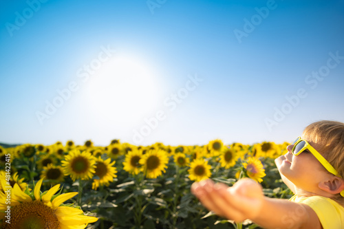 Child in spring sunflower field