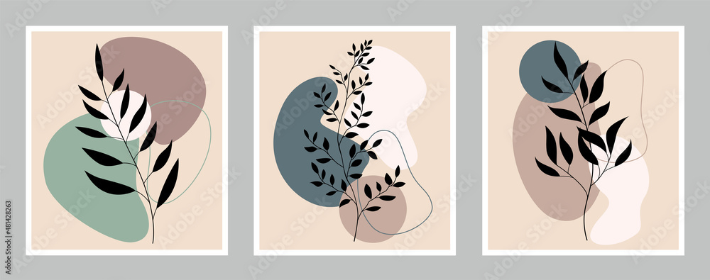 A botanical set of three paintings. Drawing of a foliage line with an abstract shape. Abstract design. A botanical set of three paintings. Drawing of a foliage line with an abstract shape. Abstract design.