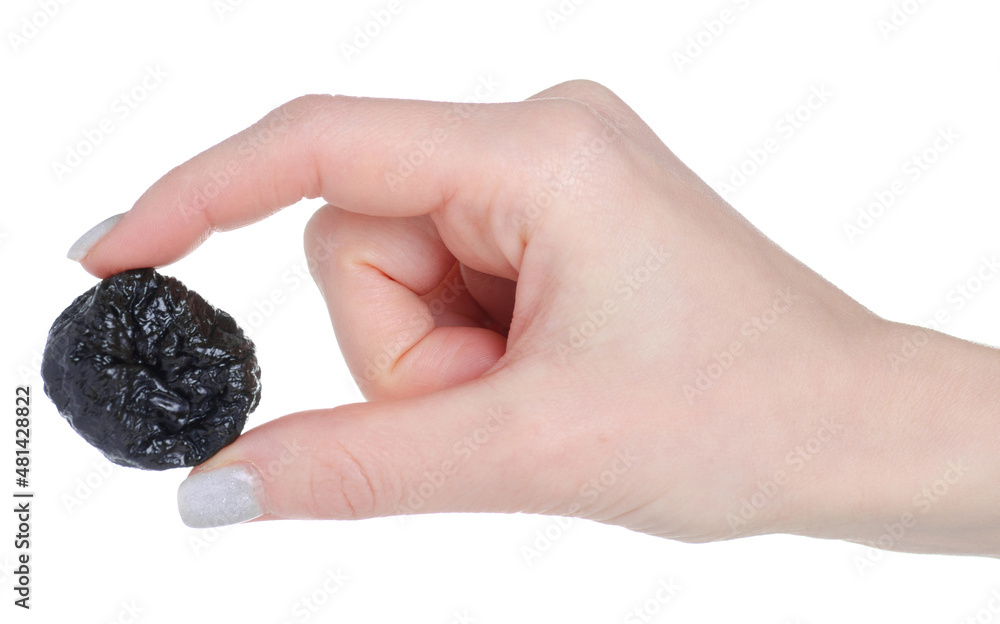 prunes dried fruit in hand on white background isolation prunes dried fruit in hand on white background isolation