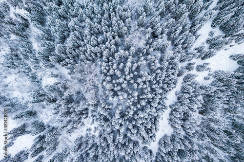 Winter Landscape in Wilderness. Drone View