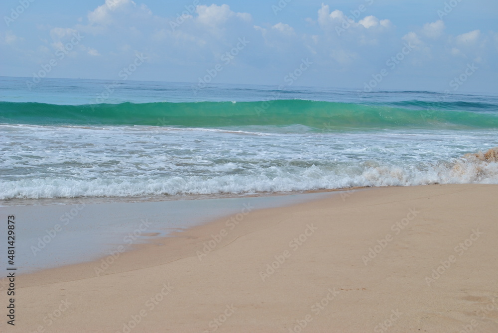 The sea wave. Beach, sea, palm trees, ocean. Sri Lanka. Blue lagoon. Beautiful beach.