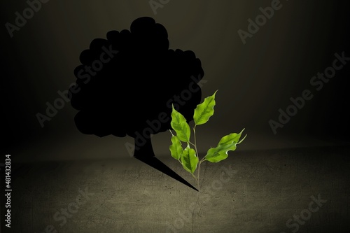 Start, Think Big, Recovery and Challenge in Life or Business Concept. New Green Sprout Plant photo