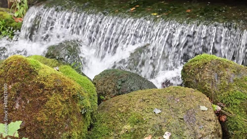 video with small waterfall and stones in moss. falling water slow motion