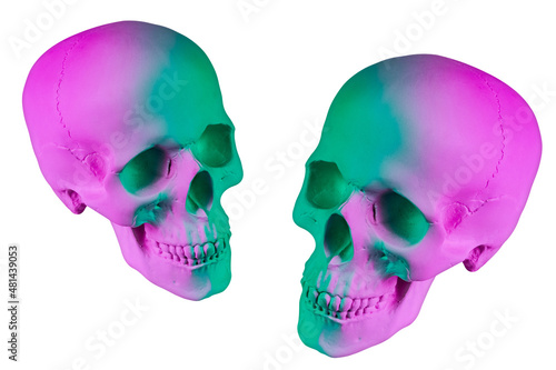 Green purple gypsum human skull isolated on white background. Plaster sample model skull for students art schools. Forensic science, anatomy and art education concept. Mockup for drawing and design