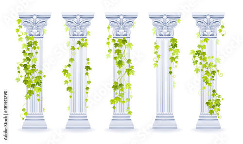 Vector ivy column. Greek marble architecture pillar set with green ivy leaf. Illustration with vine plant climbing on antique column. Ancient roman, greek design watercolor decoration for wedding, etc
