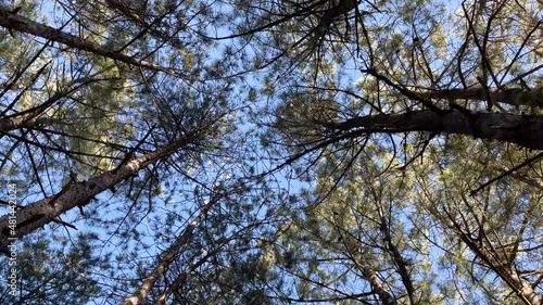 View vertical pan with circular rotation of the camera, concepts, 4k resolution