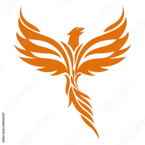 phoenix onfire bird