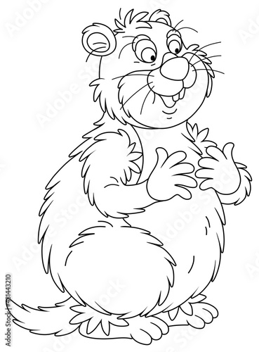 Funny fat groundhog with chubby cheeks standing on hind legs, black and white outline vector cartoon illustration for a coloring book page