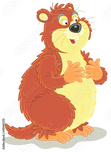 Funny fat groundhog with chubby cheeks standing on hind legs, vector cartoon illustration isolated on a white background