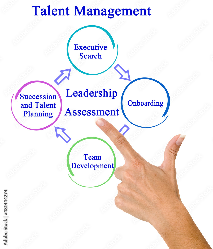 Four Components of Talent Management Four Components of Talent Management