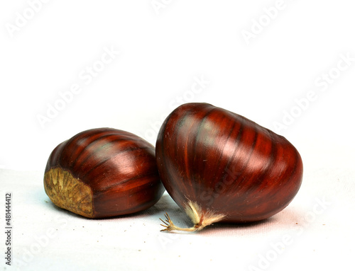 chestnuts isolated two big in white background