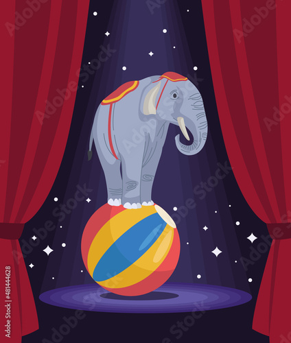 circus elephant in balloon
