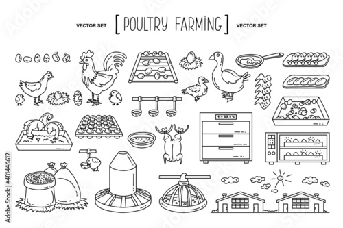 Vector hand drawn set on the theme of poultry farming, agriculture, factory, food, chicken. Isolated doodles, line icons for use in design