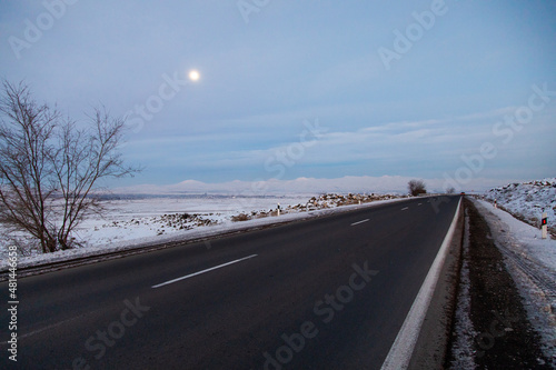 asphalt road with snowy landscape