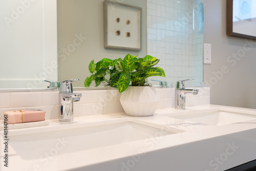 Detail of double bathroom sink with green potted plant.