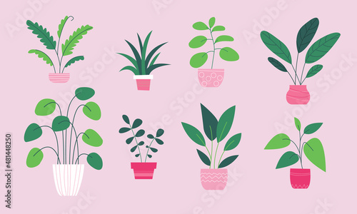 Set of home indoor plants in flat style. Urban jungle cute fashion potted plants home decor. Green natural decor for home and interior. City garden illustration vector collection in simple style
