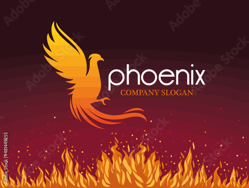 phoenix bird and flames