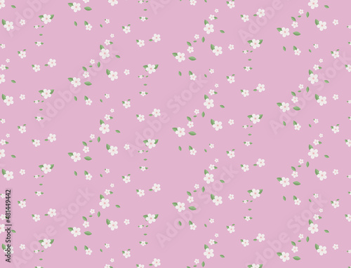 Pattern of sakura flowers.Elegant pink background.