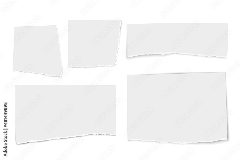 Set of white paper tears isolated on white Set of white paper tears isolated on white