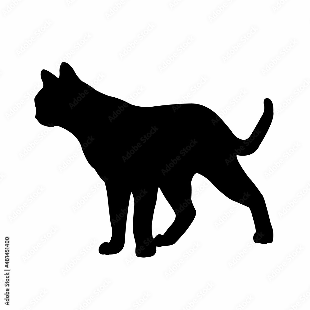 a cat body silhouette vector