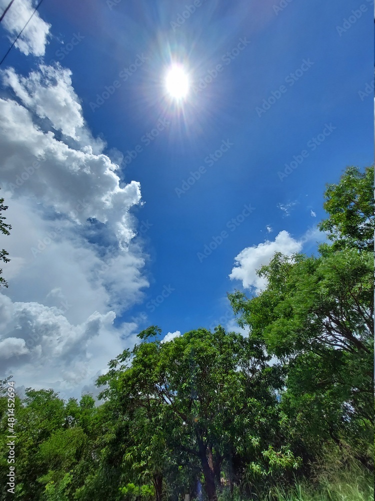 Obraz premium sky and clouds