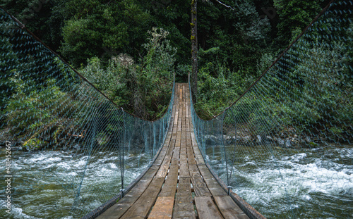 Wood bridge / puente de madera en bosque verde